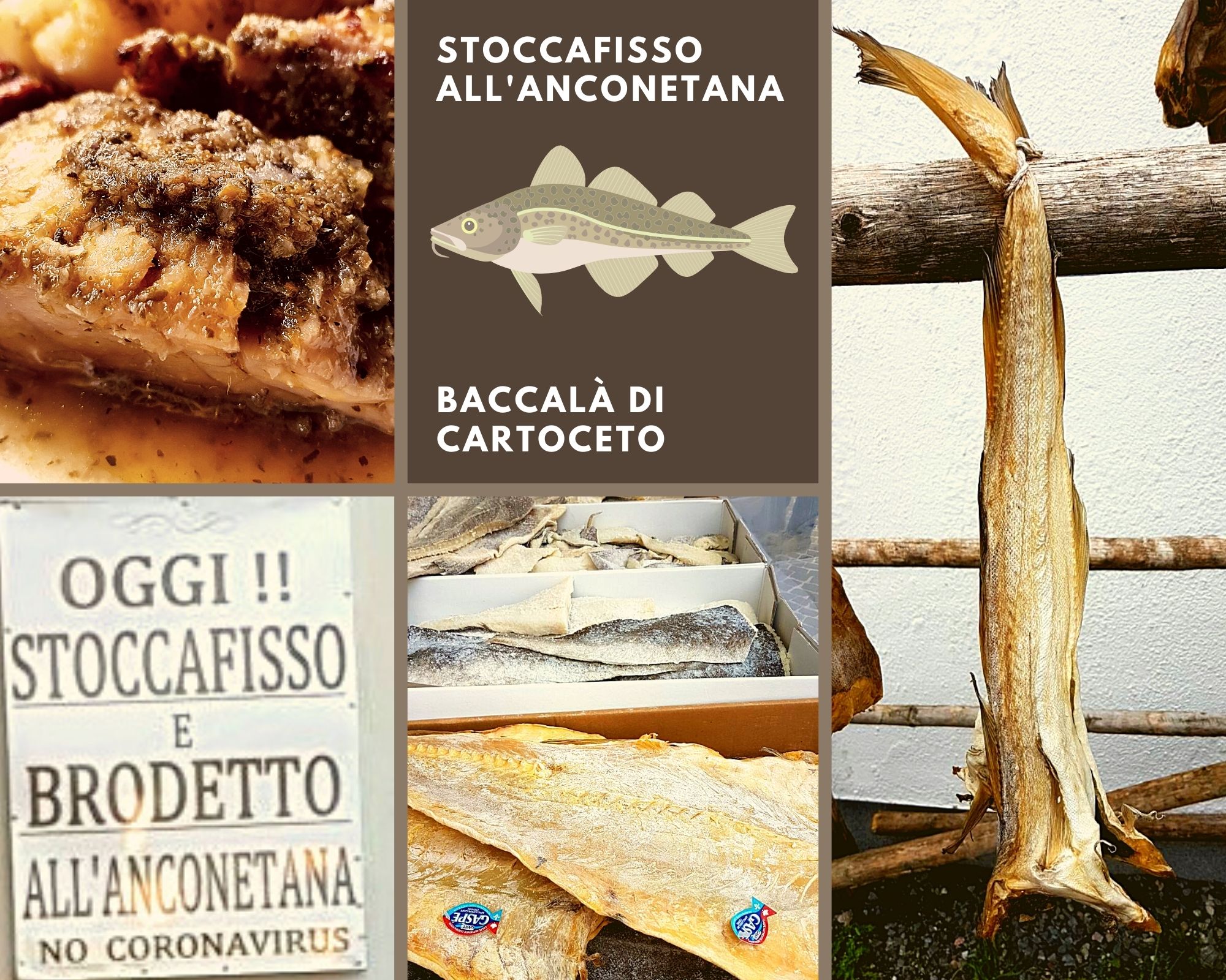 Stoccafisso su eccolemarche.eu